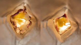 Burning Serenity A Mesmerizing Tea Bag Transformation [upl. by Barden]