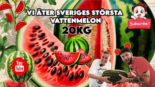 VI ÄTER SVERIGES STÖRSTA VATTENMELON SOM VÄGER 20KG [upl. by Nohsram592]