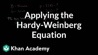 Applying the HardyWeinberg equation  Biomolecules  MCAT  Khan Academy [upl. by Snilloc]