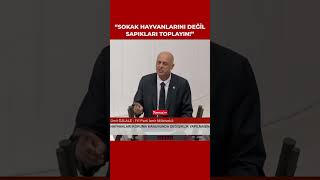 İYİ Partili Ümit Özlale Sokak hayvanlarını değil sapıkları toplayın [upl. by Ardnos]