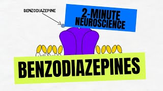 2Minute Neuroscience Benzodiazepines [upl. by Daggett430]