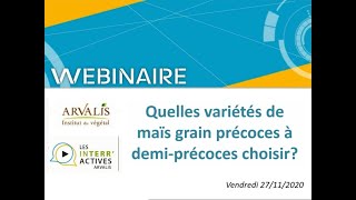 Quelles variétés de maïs grain précoces à demiprécoces choisir [upl. by Ahset157]