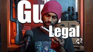 Gun Legal ද   Sinhala  Life In Japan  Vlog 64  2024 [upl. by Pavkovic]