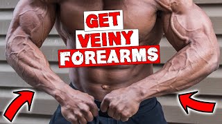 FOREARM WORKOUT FOR VEINS  DUMBBELLS OR BARBELL [upl. by Asher]