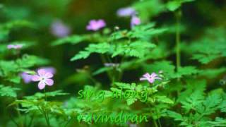 Thaaraga roopini Sing alongRavindran [upl. by Atiran]