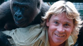 The Untold Truth Of Steve Irwin [upl. by Ayidan131]