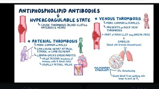 Mystery diagnosis antiphospholipid antibody syndrome [upl. by Zeugirdor]