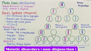 Meiotic errors  Nondisjunction  downs syndrome  klinefelters syndrome  Turners syndrome [upl. by Eeruhs]