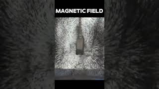 Magnetic 🧲 field pattern 😱 experiment shorts viral magneticfield magnetism trending [upl. by Pyle]