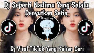 DJ ORANG YANG SAMA  DJ SEPERTI NADIMU YANG SELALU DENYUTKAN SETIA VIRAL TIK TOK TERBARU [upl. by Engvall]