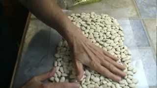 How to Cook Lima Beans [upl. by Mirilla]