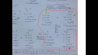 CORSO DI BIOCHIMICA  LEZIONE 21 DI 47  VIA DEI PENTOSO FOSFATI  PARTE 2 [upl. by Acinaj]