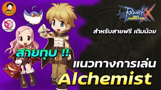 Full Guide Alchemist สายทุบ ใช้งบน้อย เล่นง่าย เก่งไว  Ragnarok x next generation [upl. by Fiora]