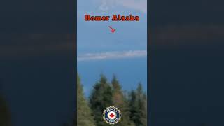 Homer Alaska View Point  KENAI PENINSULA ALASKA  shorts shortvideo ytshorts 2024 alaska [upl. by Aivatahs]