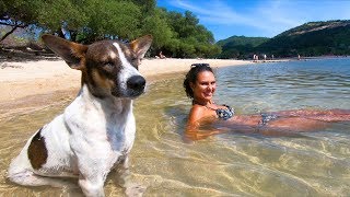 EXPLORING KOH PHANGAN  THAILAND TRAVEL VLOG [upl. by Mcspadden]