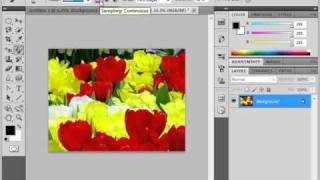 Photoshop CS5 Tutorial The Color Replacement Tool Adobe Training Lesson 55 [upl. by Atikan513]