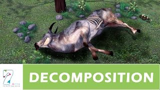 DECOMPOSITION  PART 01 [upl. by Acalia]