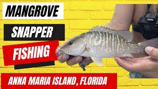 Mangrove Snapper Fishing off Anna Maria Island Florida [upl. by Nipsirc257]