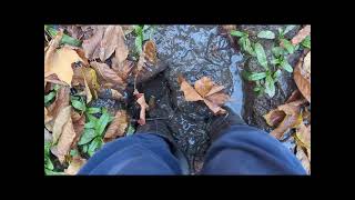 Rubber Boots in Swamp Mud and Fall Leaves [upl. by Nanon]