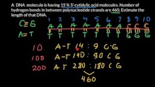 DNA BASE CALCULATION structure of DNA GRADE 12 LIFE SCIENCES ThunderEDUC BY M SAIDI [upl. by Reyam78]