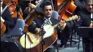 VIOLIN HUAPANGO MARIACHI VARGAS DE TECALITLAN [upl. by Conners]