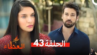 العنقاء الحلقة 43  مراجعة [upl. by Fiedler]