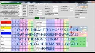 Horse Racing Dutch Betting [upl. by Bambie]