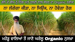 Organic farming। ਗੰਨੇ ਦੇ ਬੀਜ ਨੂੰ ਹਿੰਗ ਅਤੇ ਹਲ਼ਦੀ ਨਾਲ਼ ਸੋਧਣ ਦਾ Organic ਤਰੀਕਾ। ਕੀੜਾਸਿਉਂਕਰੋਗ ਦਾ ਨਾਸ਼ [upl. by Angy]