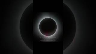 Total Solar Eclipse 2024 Progression Shorts [upl. by Aradnahc]