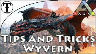 Fast Wyvern Taming Guide  Ark  Survival Evolved Tips and Ticks [upl. by Nerha]