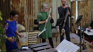 Brenda Gifford Bardju with members of Ensemble Offspring [upl. by Oirramed442]