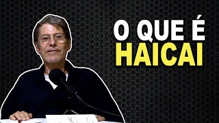 O QUE É HAICAI OU HAIKAI  Curso de Poesia [upl. by Geehan]