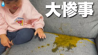 ソファーの上でジュースを飲ませるとこうなります [upl. by Uphemia]