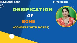 Ossification of bone BSc 2nd YearDevelopment of boneIntramembranousendochondral ossifications [upl. by Ylsew835]