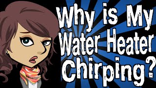 Why is My Hot Water Heater Chirping [upl. by Silletram]