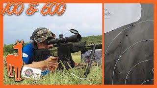 6mm ARC Accuracy at 100 and 600 Yards  CMMG Endeavor 300 [upl. by Sumerlin506]