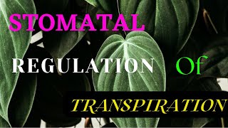 transpirationinplants Stomatal Regulation of Transpiration [upl. by Enelyam]