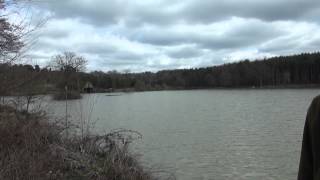 WHITEVANE CARP FISHERY HORSHAM EAST SUSSEX ANGLERS MAIL TACTICAL BRIEFINGS [upl. by Bhayani]