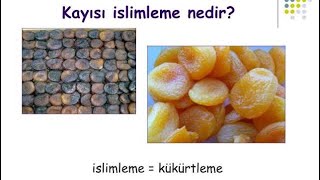 İNANILMAZ EMEK❗️SARI KURU KAYISI YAPIM AŞAMASI [upl. by Apostles88]