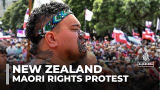 More than 40000 protest New Zealand Maori rights bill [upl. by Atimed]