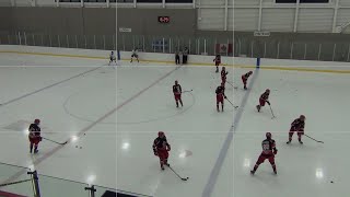 Hockey collégial D2 Pionniers vs M18 LHPS Amqui et RDL [upl. by Eissirc927]