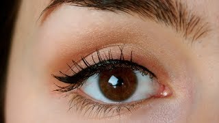 How To Apply Eyeliner Like a PRO Simple and Quick Makeup Tutorial [upl. by Diehl]