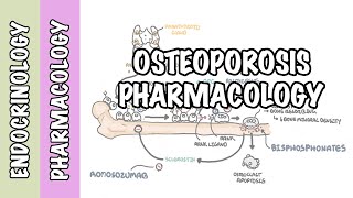 Osteoporosis pharmacology prevention and treatment bisphosphonates denosumab SERMs [upl. by Ahsiatal]