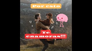 Neurobiología del amor ❤️❤️❤️ [upl. by Eiramllij667]