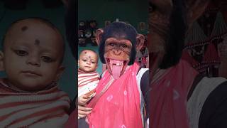 bandar mama pahan pajama davt khane aaye 🐒🐒funny tending youtubeshorts [upl. by Lupee574]