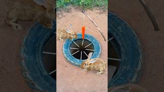 Survival Skills Simple But Very Useful with rabbit deep hole trap shorts survival outdoors [upl. by Eitsyrhc]