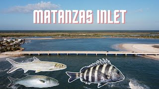 Fishing Matanzas Inlet  St Augustine FL hookandcookreellife Sheepshead Bluefish Ladyfish [upl. by Nottirb]