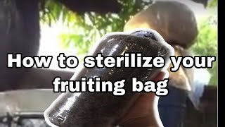 How to sterilize fruiting bag [upl. by Isleen]