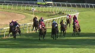 Goondiwindi 20240907 Race 5 [upl. by January]