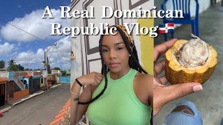 A real Dominican Republic Vlog 2022 1 [upl. by Eehc977]